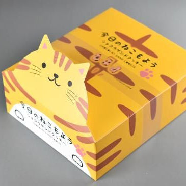 今日のねこもよう