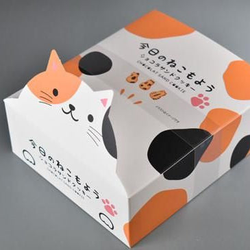 今日のねこもよう