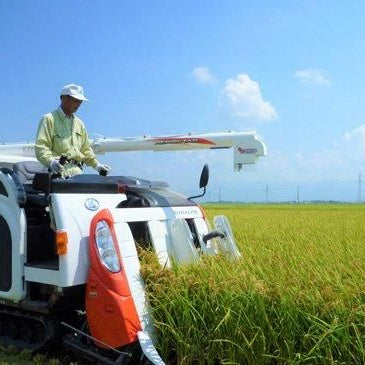 新潟県産米食べ比べセット　1キロ×4種類