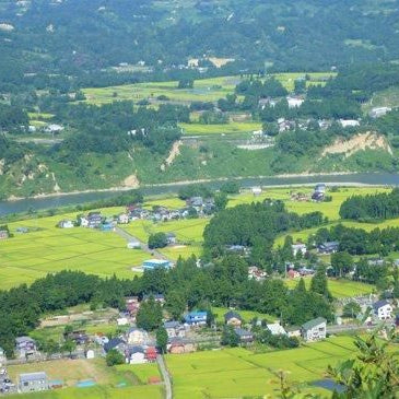 新潟県産米ギフト　「田植え唄」