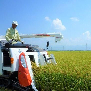 新潟県産米ギフト　「田植え唄」
