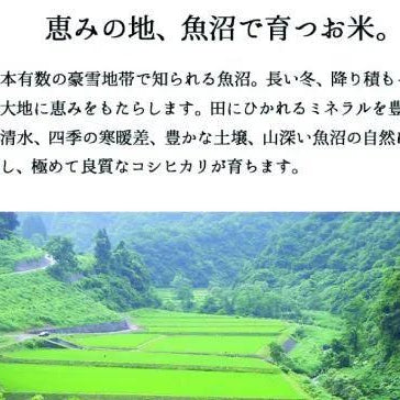 極上魚沼産こしひかり　5㎏