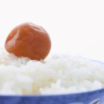 新潟県産　新之助1ｋｇ