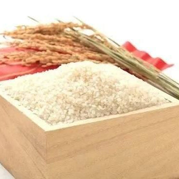 新潟県産　新之助2ｋｇ