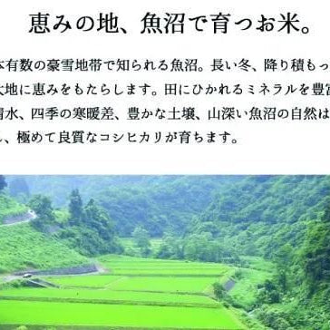 魚沼産こしひかり　5㎏