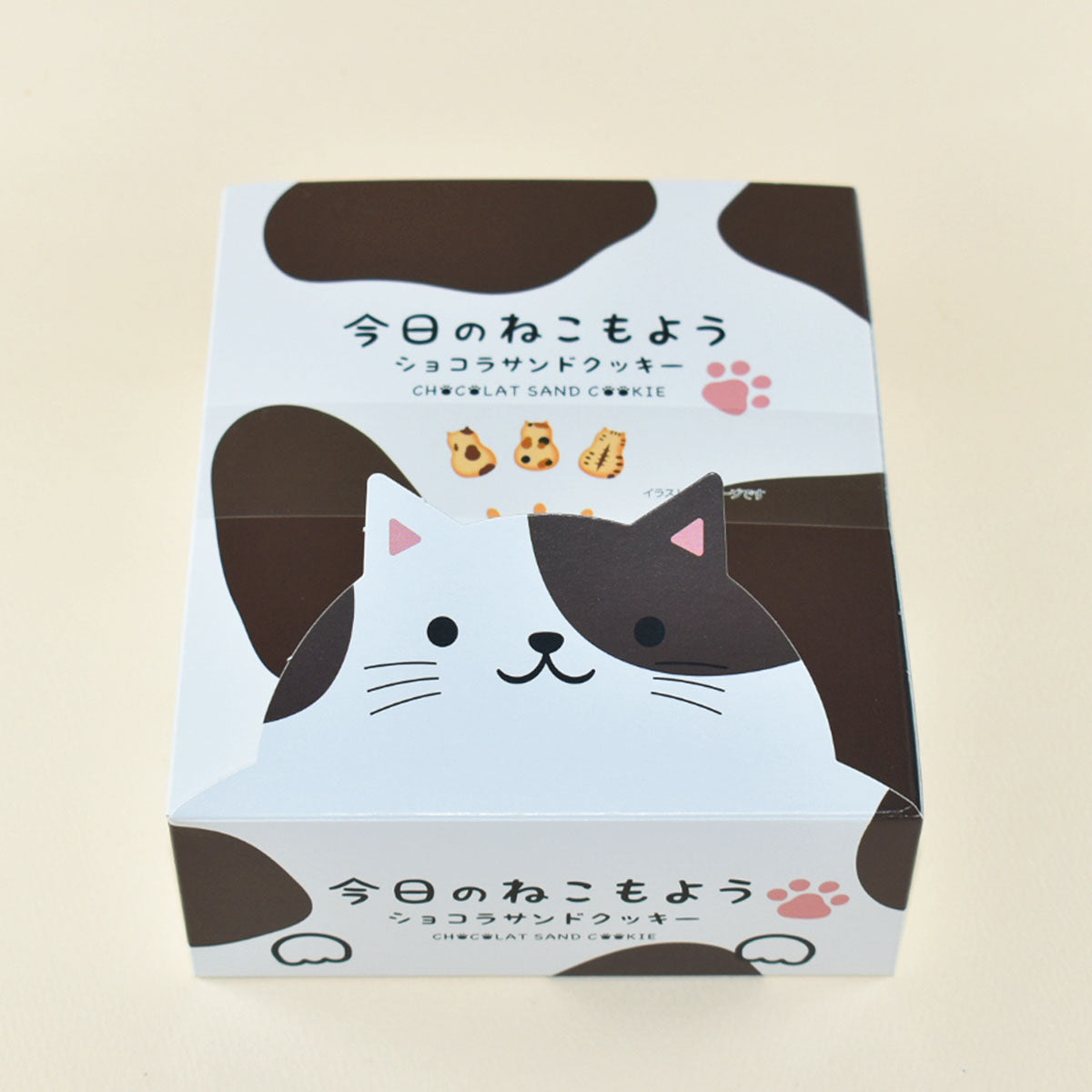 今日のねこもよう