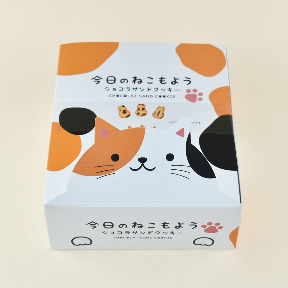 今日のねこもよう