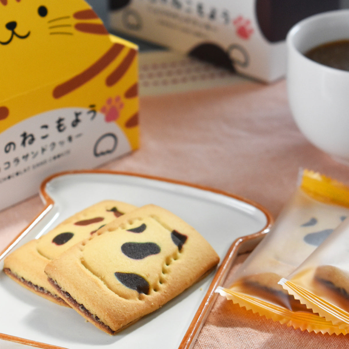 今日のねこもよう